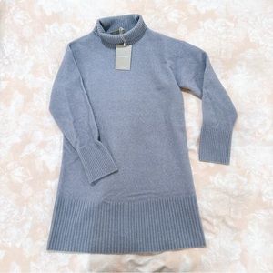 NEW EVERLANE Stretch Wool Turtleneck Dress, size SMALL